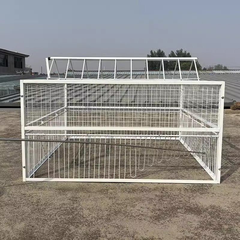Automatic Entry Pigeon Cage