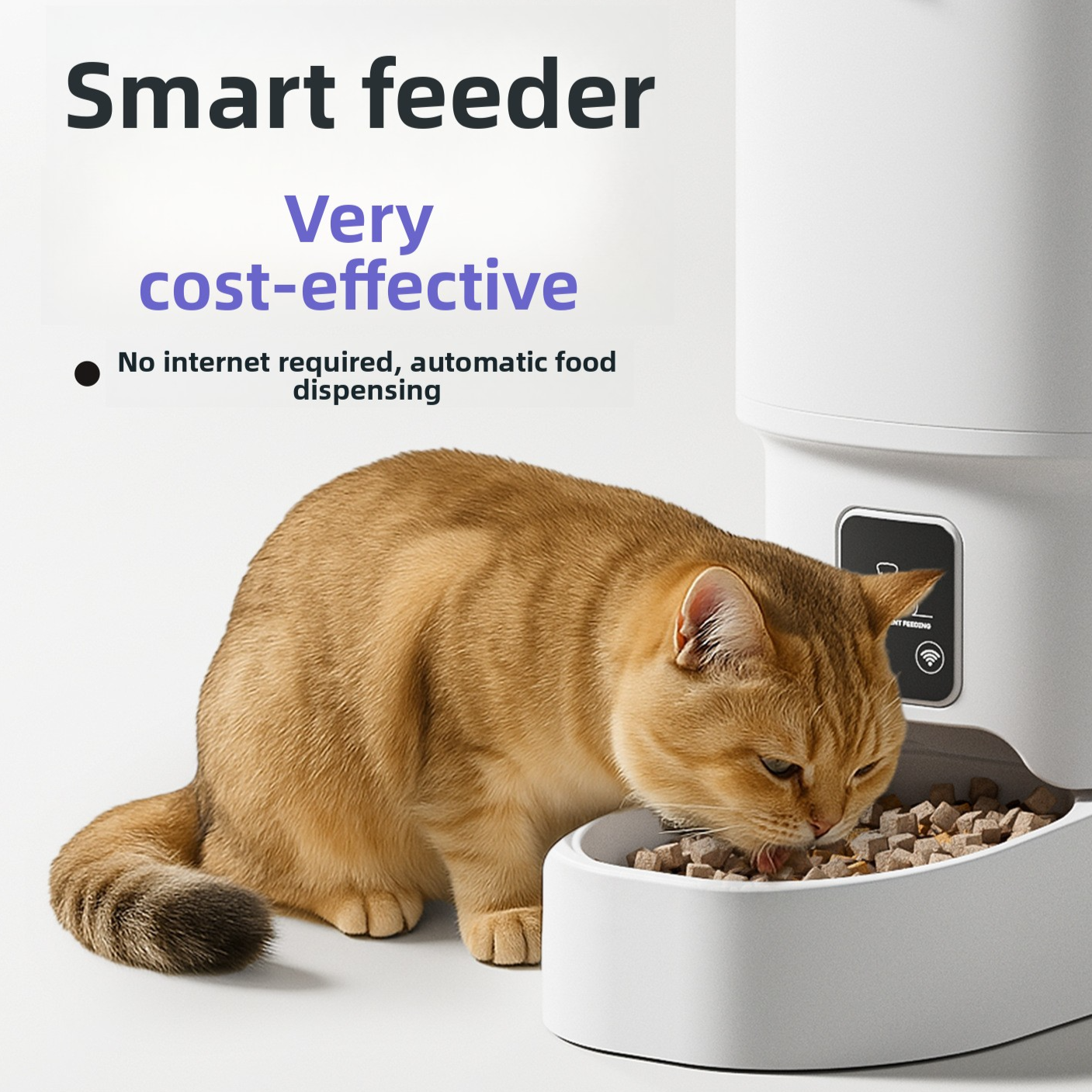 Automatic Feeder