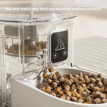 Automatic Feeder