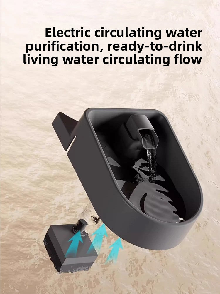 Automatic Food Feeder