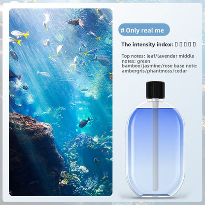 Automatic fragrance sprayer