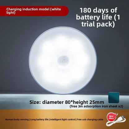 Automatic human body sensor light