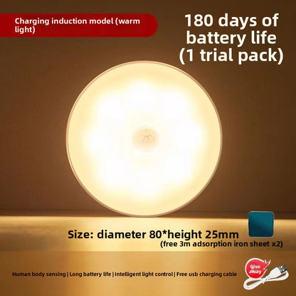 Automatic human body sensor light