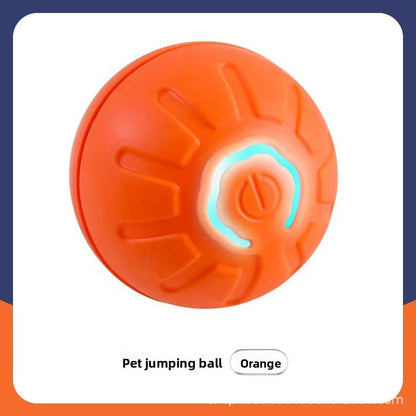 Automatic Interactive Pet Ball