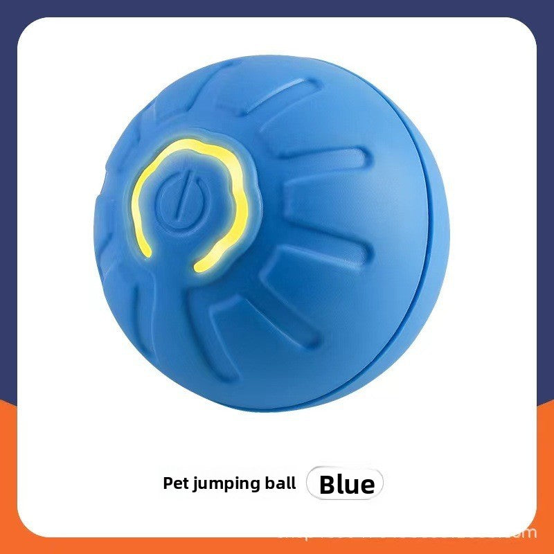 Automatic Interactive Pet Ball