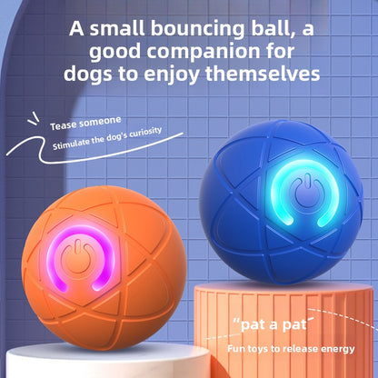 Automatic Interactive Pet Ball