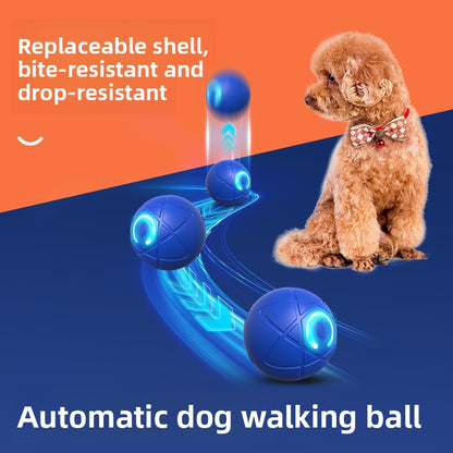 Automatic Interactive Pet Ball