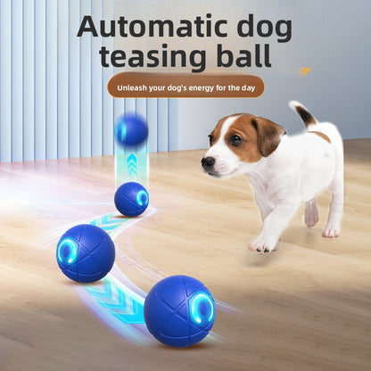 Automatic Interactive Pet Ball