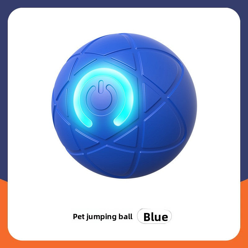 Automatic Interactive Pet Ball