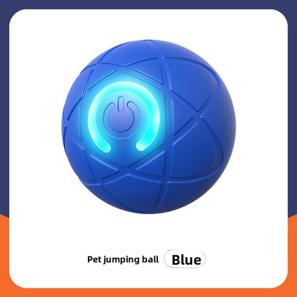 Automatic Interactive Pet Ball