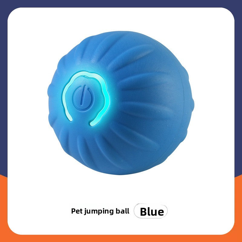 Automatic Interactive Pet Ball