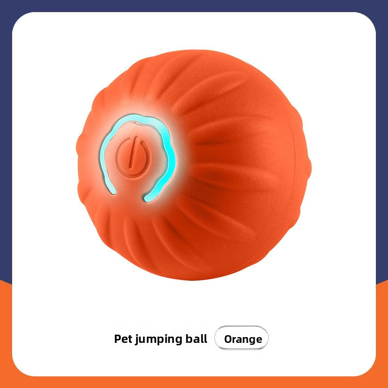 Automatic Interactive Pet Ball