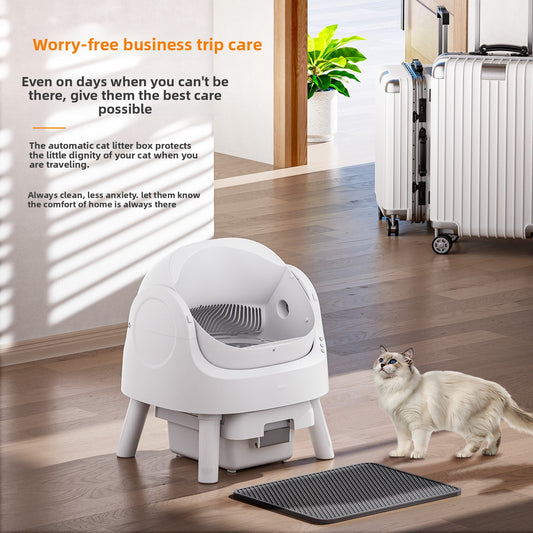 automatic litter box