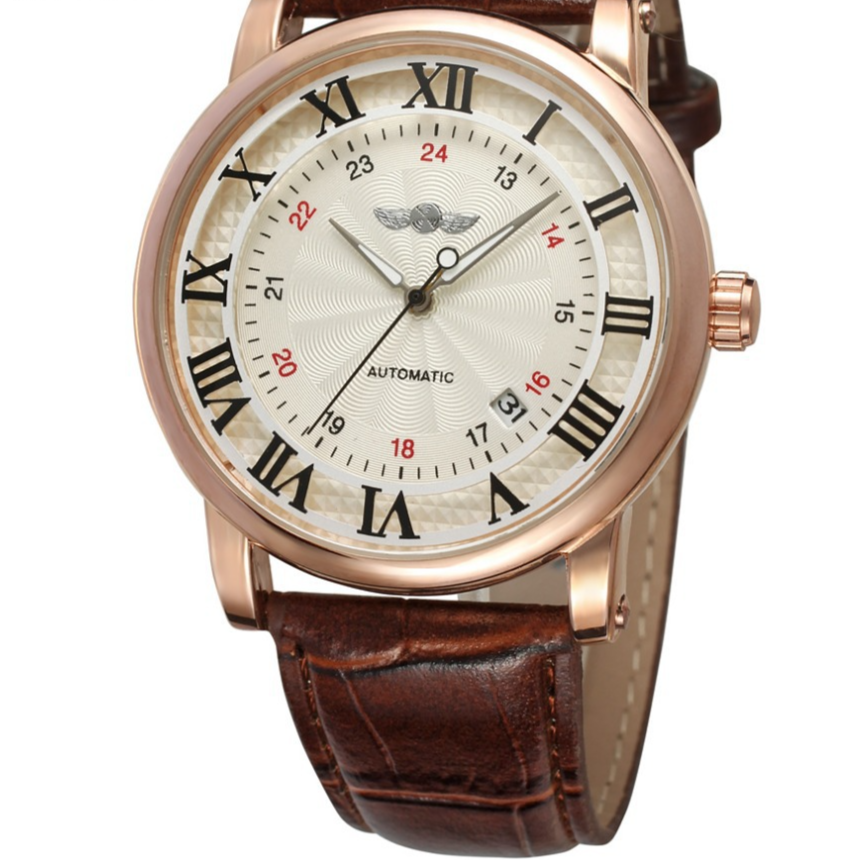 Automatic mechanical watch