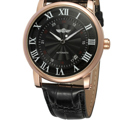 Automatic mechanical watch