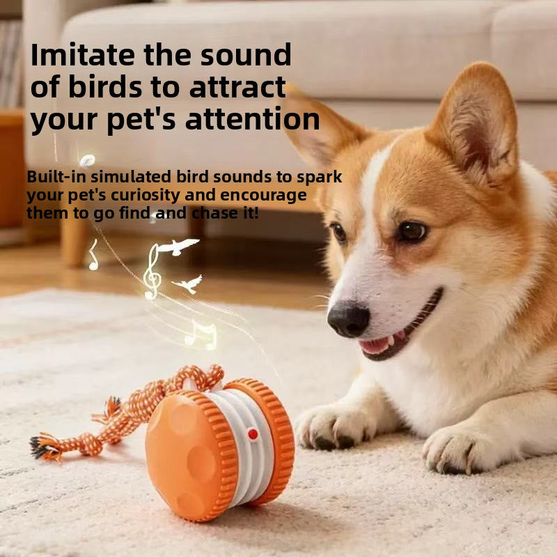 Automatic Pet Ball Launcher with Sound Effects