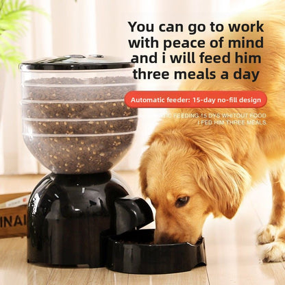 automatic pet feeder