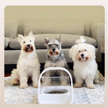 Automatic pet feeder