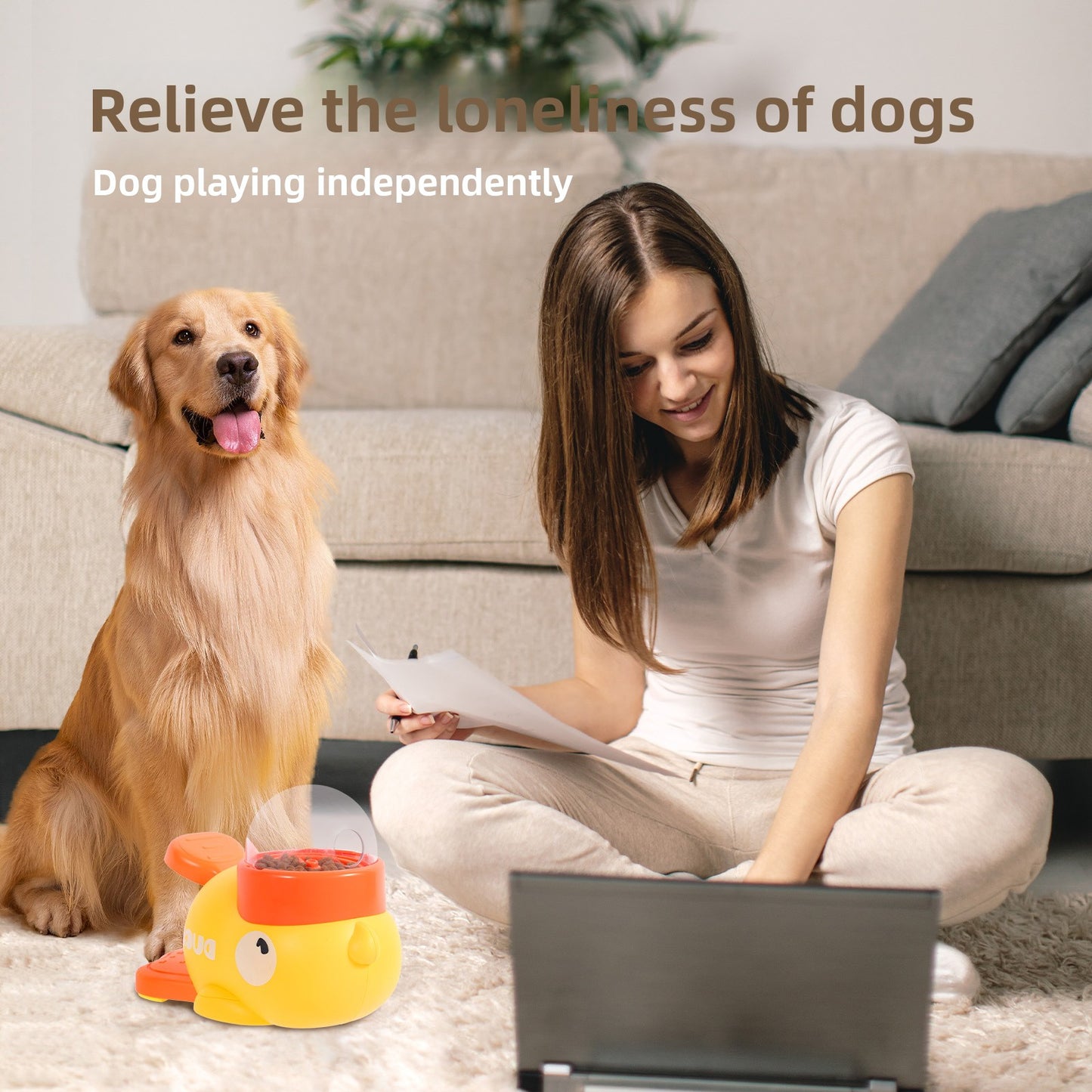 automatic pet feeder