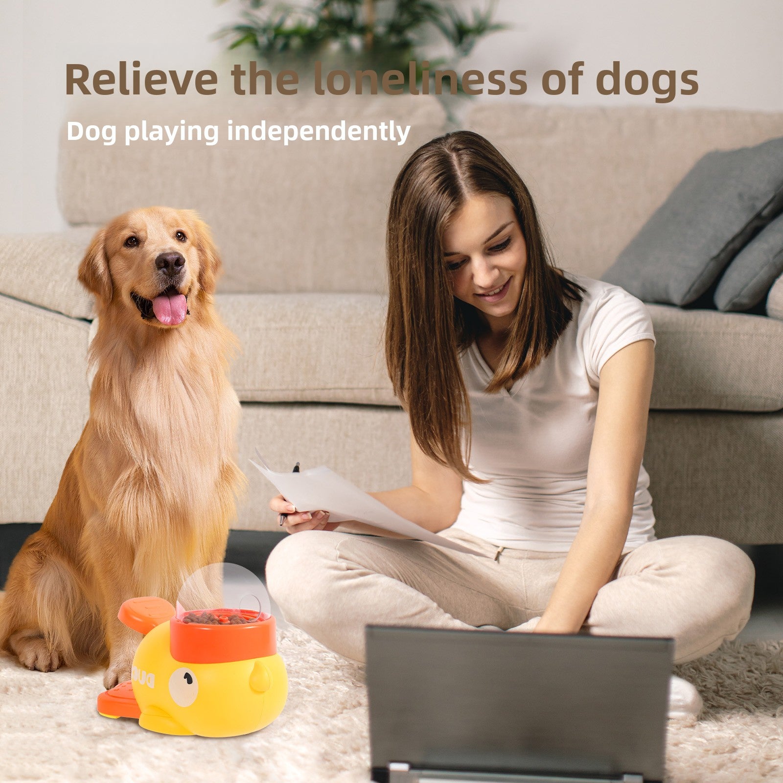 automatic pet feeder