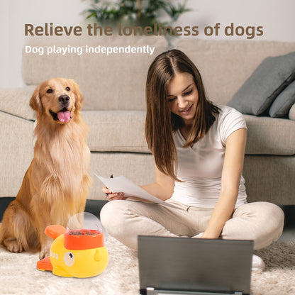 automatic pet feeder
