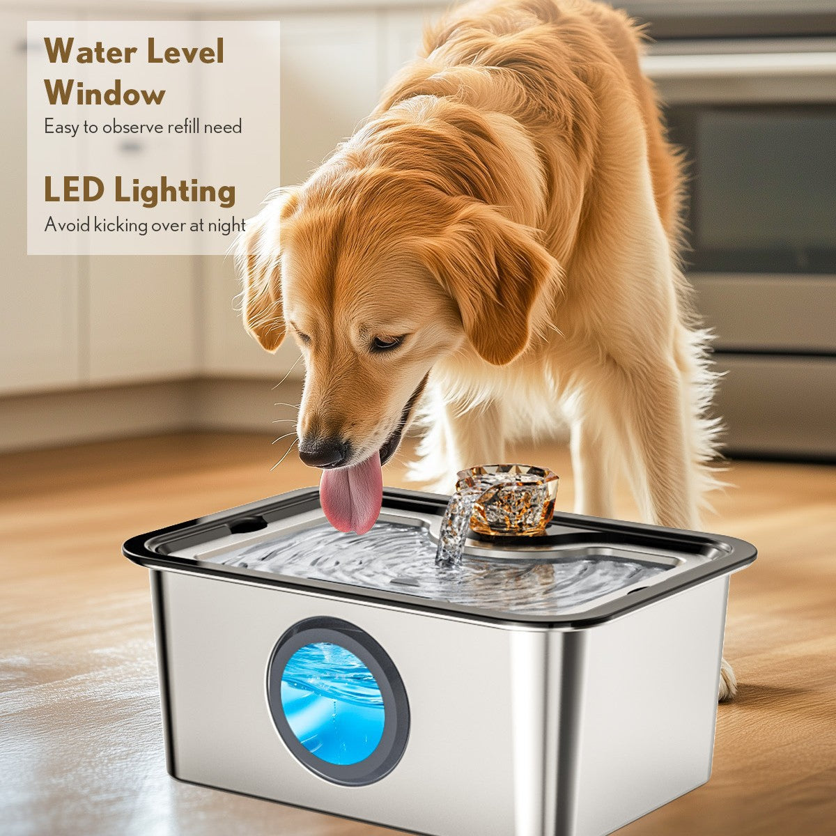 Automatic Pet Water Dispenser with Filter
