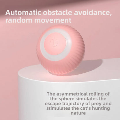 Automatic Rechargeable Cat Toy with Feather Attachments