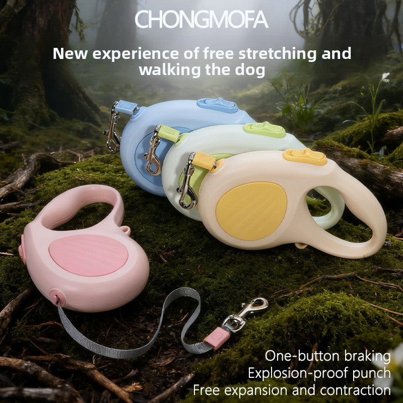 Automatic Retractable Dog Leash