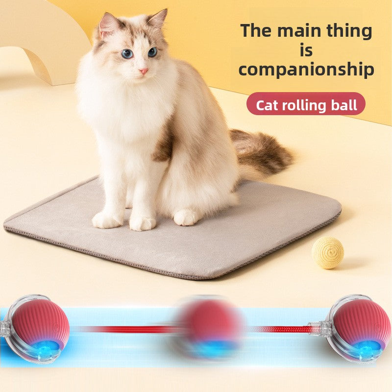 Automatic Rolling Cat Toy Ball with Rope