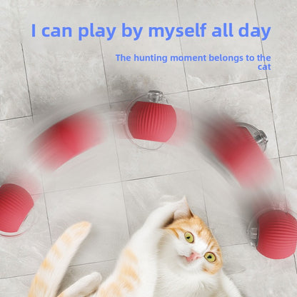 Automatic Rolling Cat Toy Ball with Rope
