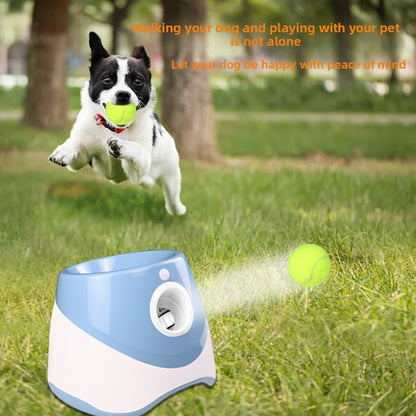 Automatic tennis throwing machine