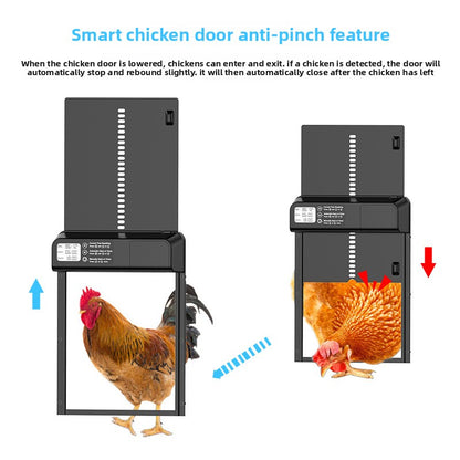 Automatic Timing Chicken Nest Door