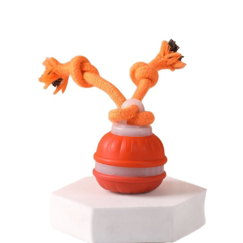 Automatic Toy Ball