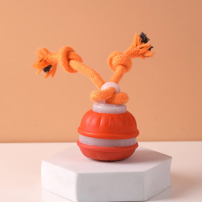 Automatic Toy Ball