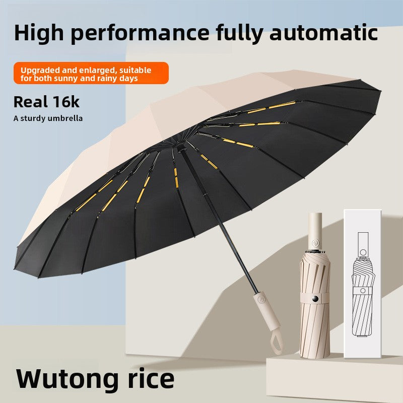 Automatic Umbrella