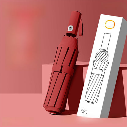 Automatic Umbrella