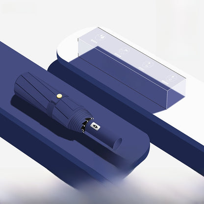 Automatic Umbrella