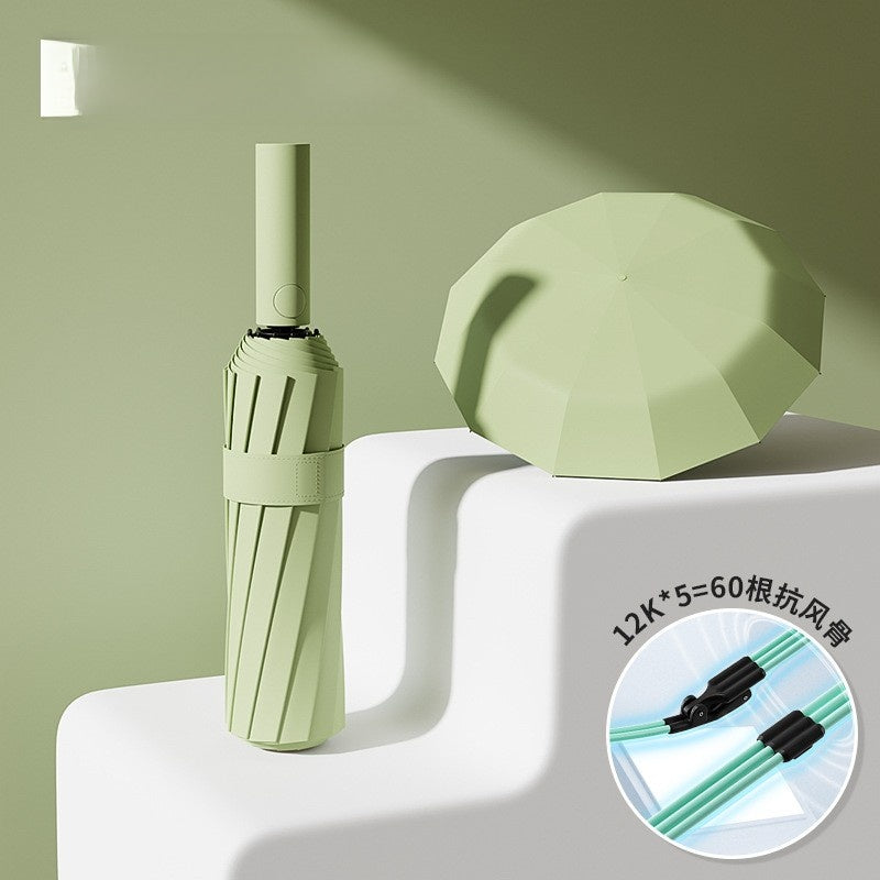 Automatic umbrella