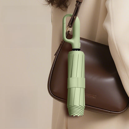 Automatic Umbrella