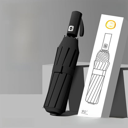 Automatic Umbrella