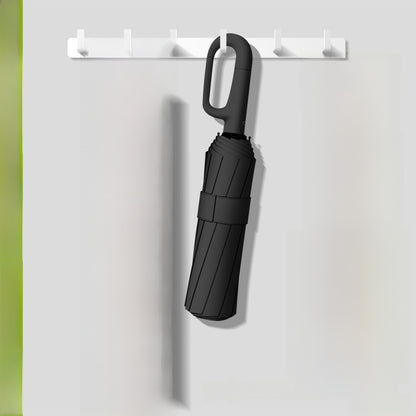 Automatic Umbrella