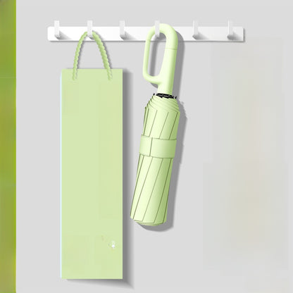 Automatic Umbrella
