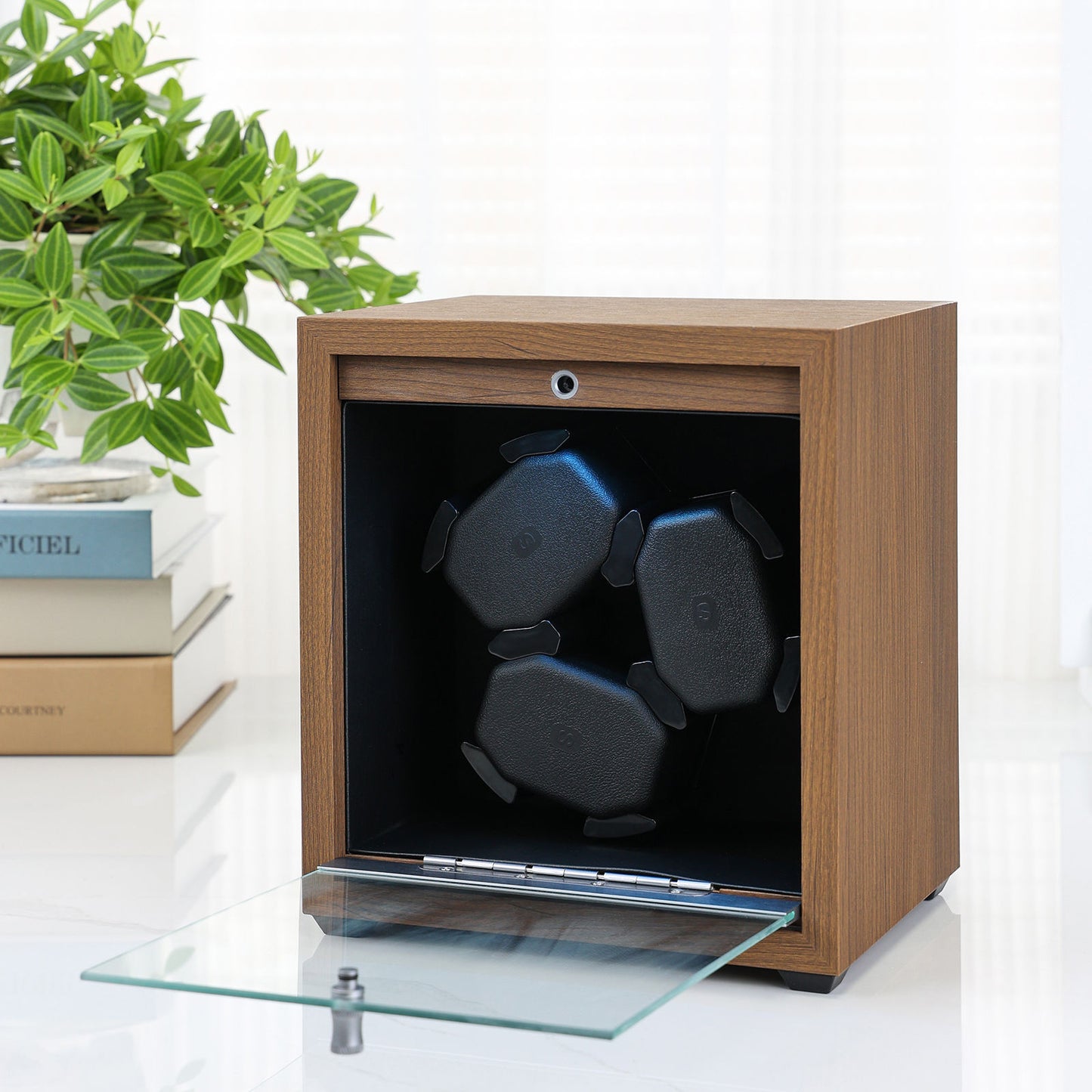 Automatic watch winder