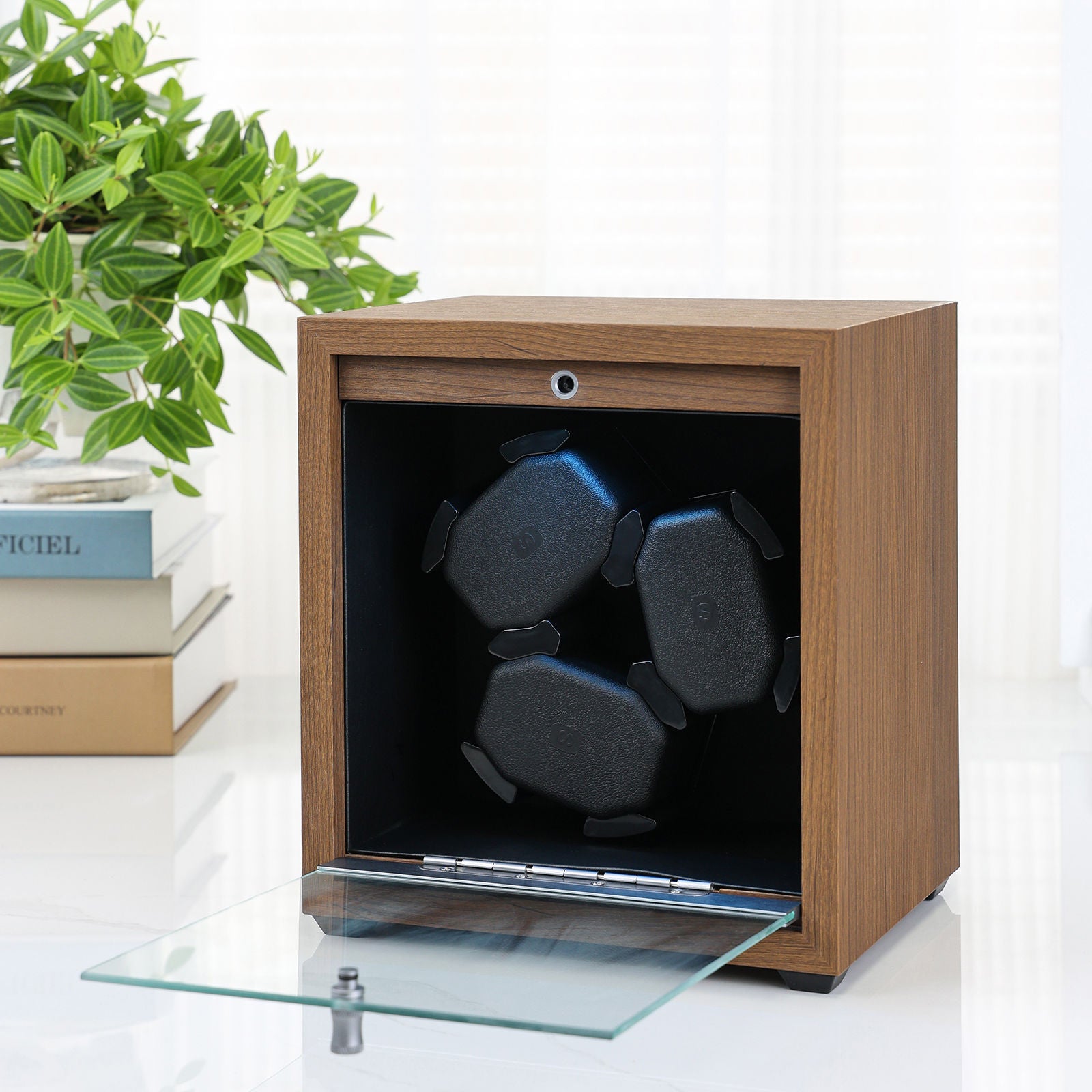Automatic watch winder