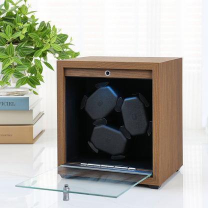 Automatic watch winder
