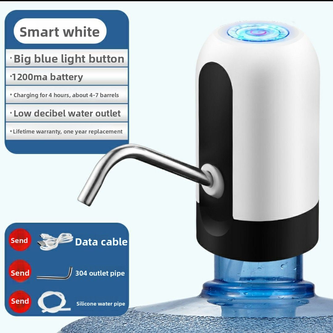 Automatic water pump