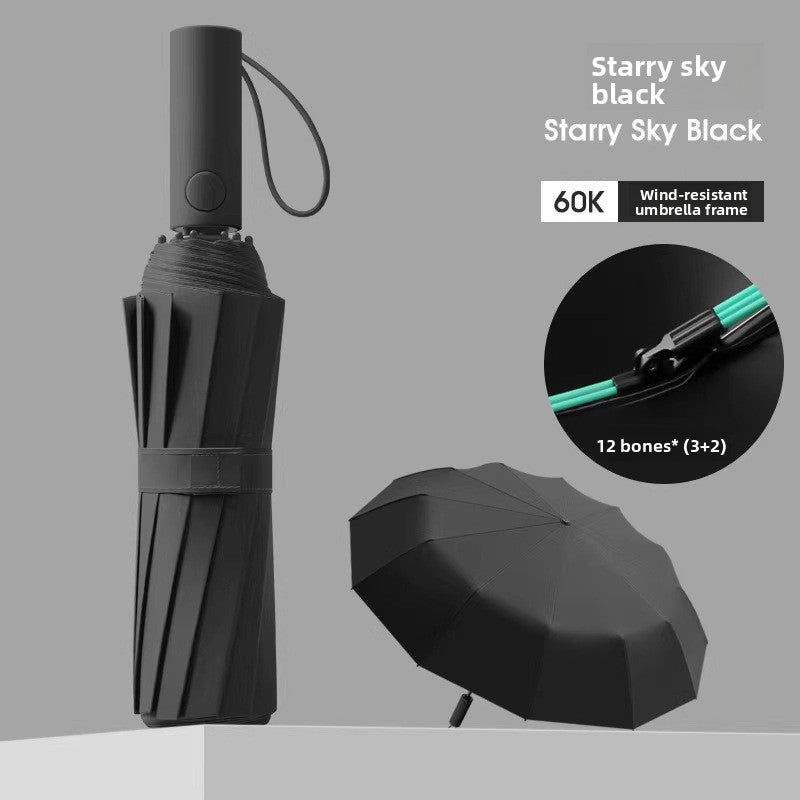 Automatic Windproof Black-Coated Umbrella with 24 Ribs