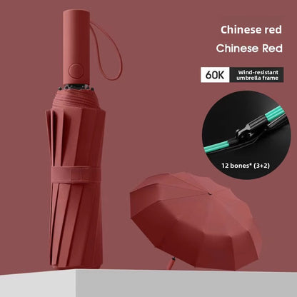 Automatic Windproof Black-Coated Umbrella with 24 Ribs