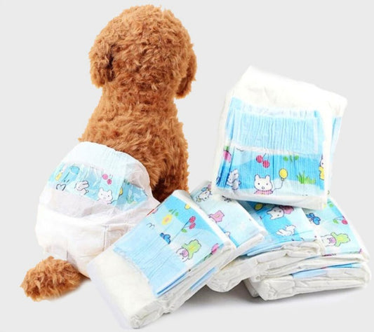 Buy Dog Training Pads & Diapers for Leak Proof Floor Safety.