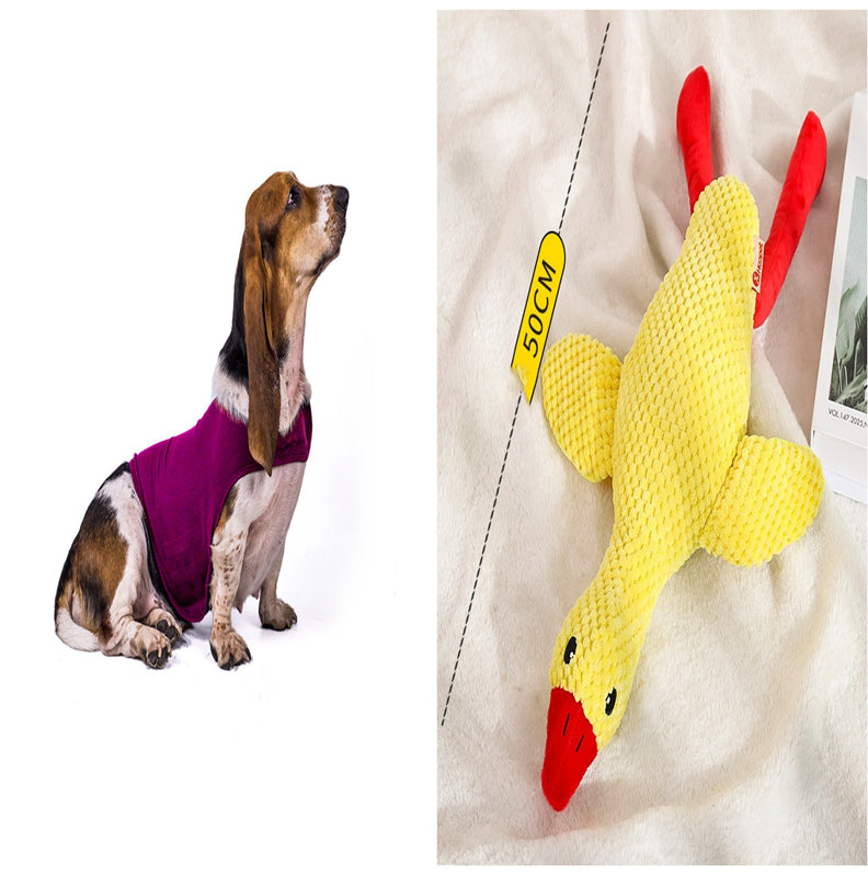 Buy Anxiety Jacket Vest for Dogs & Cats | Calming Comfort Wear